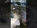 3 tempat skli exzos bocor. parok...