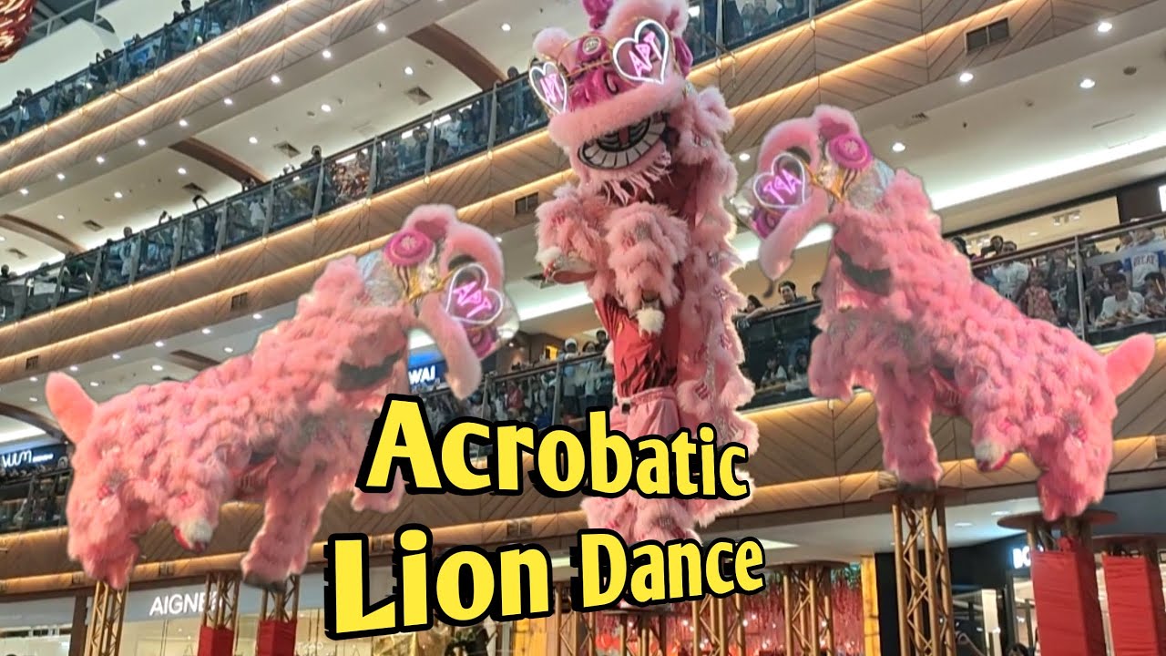 Acrobatic Lion Dance || Barongsai || 舞獅