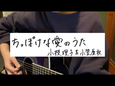 【弾き語り】ちっぽけな愛のうた/小枝理子&小笠原秋（covered by Ikeda Akari）