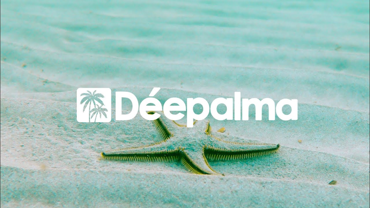 Guarda Mika Olson & Jermaine Fleur - What I Need [Déepalma Records] su YouTube