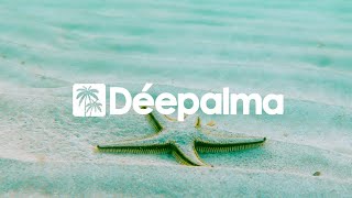 Download lagu Mika Olson & Jermaine Fleur - What I Need [Déepalma Records]