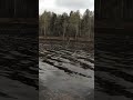 Крупная плотва на поплавок в мае #fishing #море #рыбалка #весна