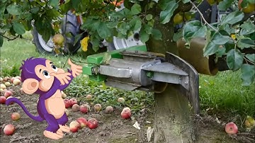 Curious Tots: How Apple Juice is Made | Fun educational documentary videos for toddlers & kids