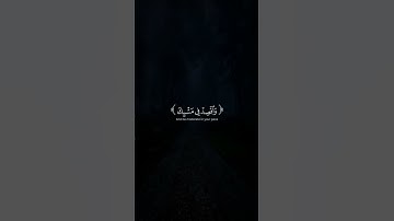 أكتب شئ توجر عليه ❤️😴 قران كريم | ياسر الدوسري
