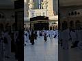 SURAH AT TAKWIR By Egzon Ibrahimi Kaaba Liveрџ ґ July 15 2025 Ytshorts Kaabalive Makkahofficial SURAH AT TAKWIR By Egzon Ibrahimi Kaaba Liveрџ ґ July 15 2025 Ytshorts Kaabalive Makkahofficial
