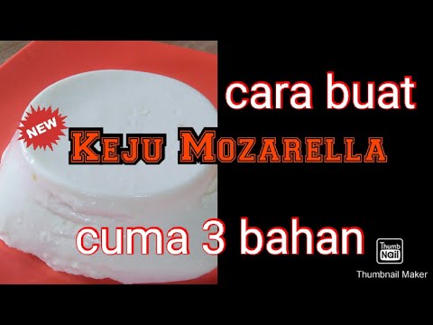 cara-buat-keju-mozarella