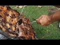 Un costillar criollo al asador.