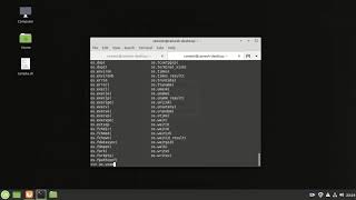 Access python  shell in linux terminal Details