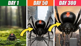 Giant Black Widow Spider Life Spore