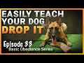 Easily Teach Your Dog The Drop It Command.