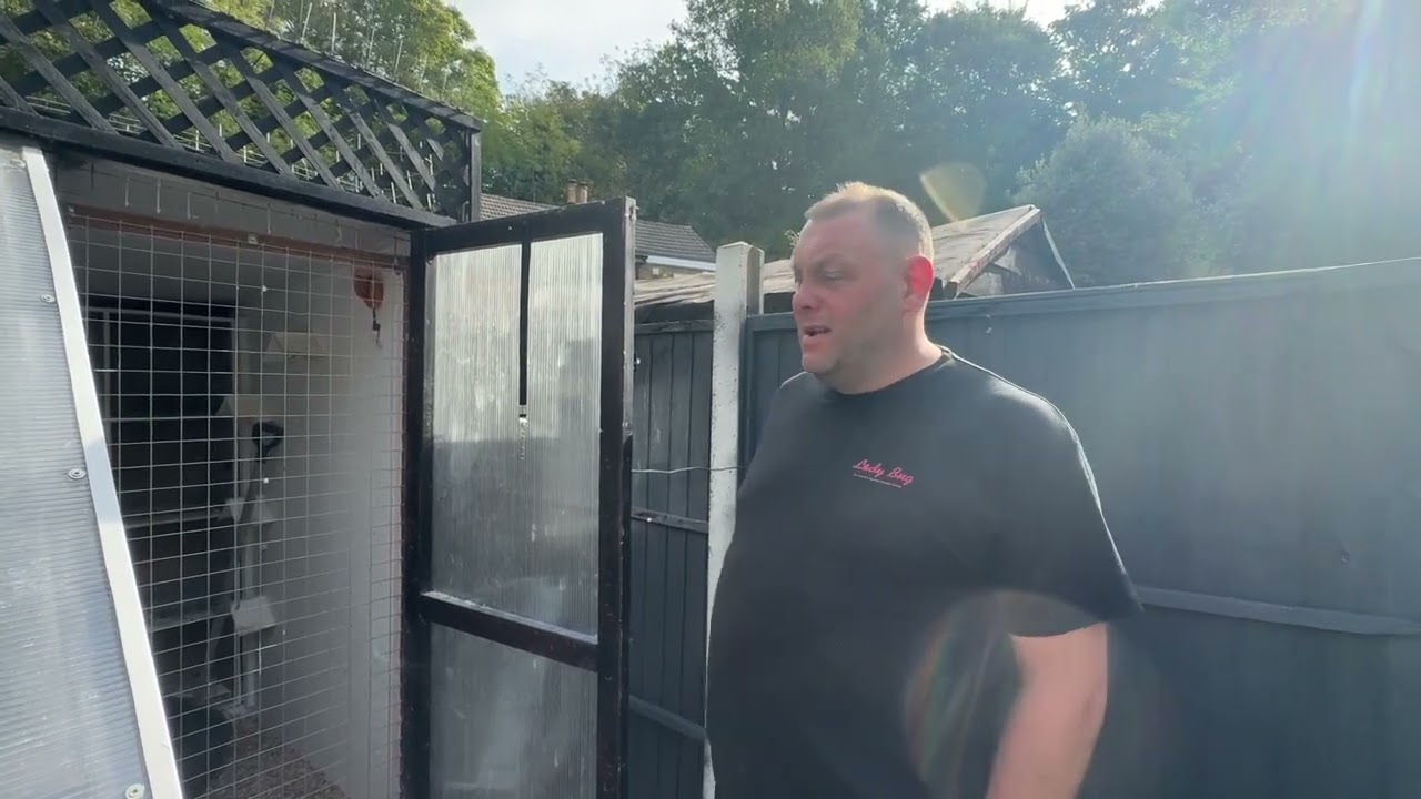 Отражая сезон 2025 года 