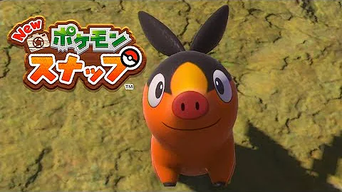 ポカブ