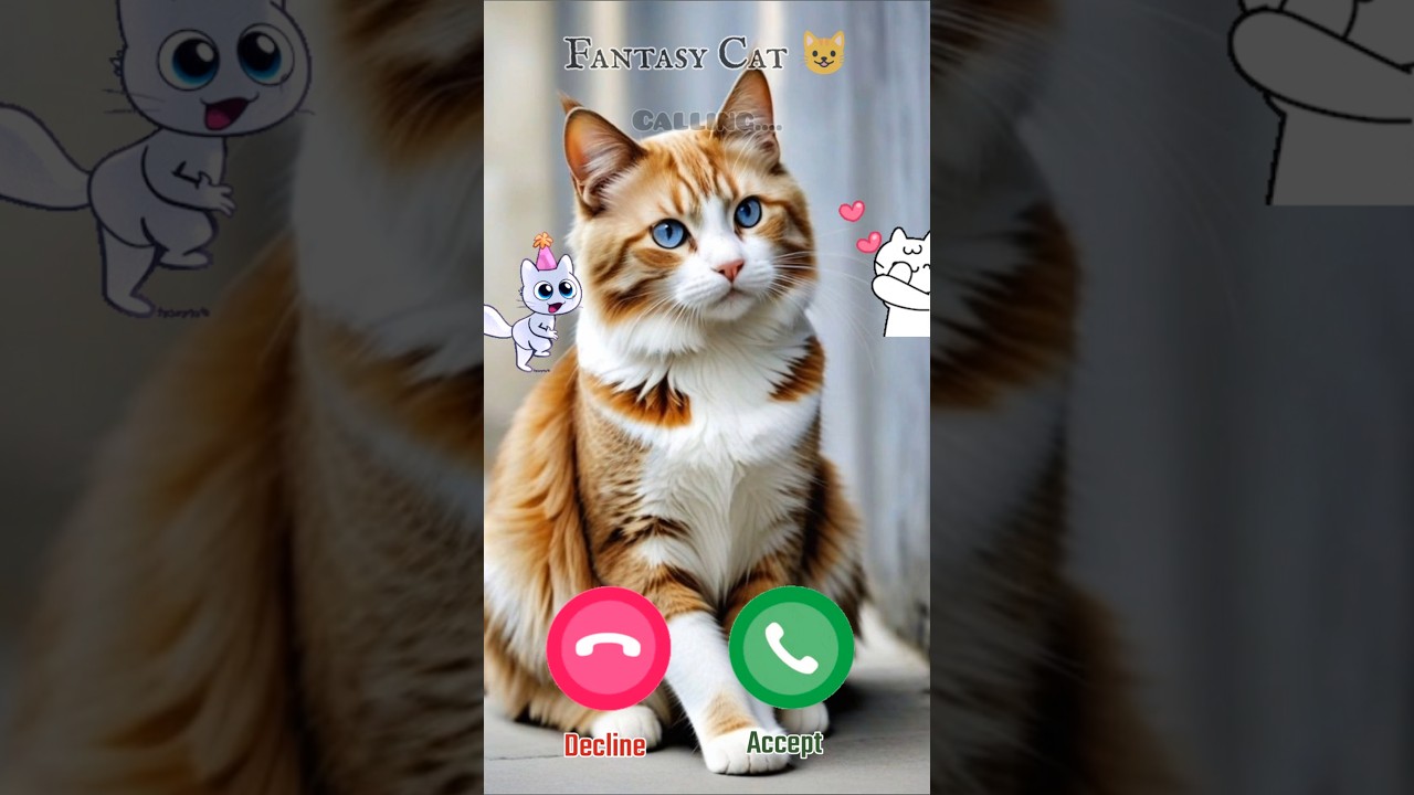 Calling.. Fantasy Cat 😺... Meow meow meow.... 