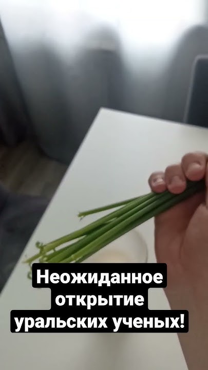 Казалось бы обычный ирис - YouTube