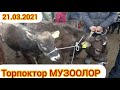 МАЛ БАЗАР ТОРПОКТОР МУЗООЛОР КАРАКОЛ ЫССЫК-КОЛ 21-март 2021