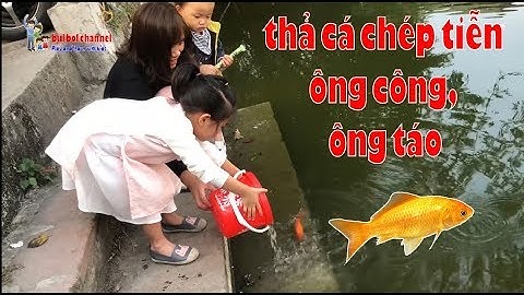 bul bol channel | Bé Bul thả cá chép vàng tiễn ông Công, ông Táo lên chầu trời - ngày 23 tháng chạp