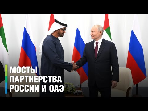 Путин и президент ОАЭ обсудили экономическое сотрудничество стран на ПМЭФ-2023