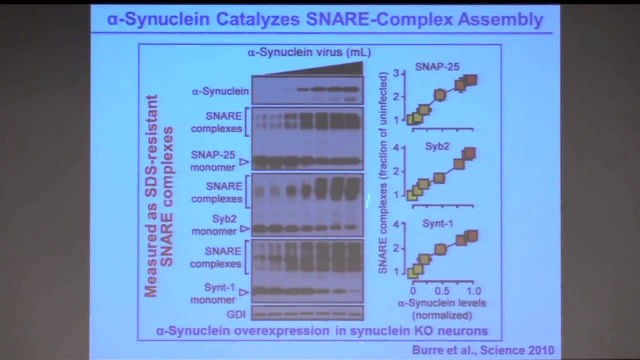 Keck School of Medicine of USC Hosts 2014 Lasker Lectures: Thomas C. Sudhof