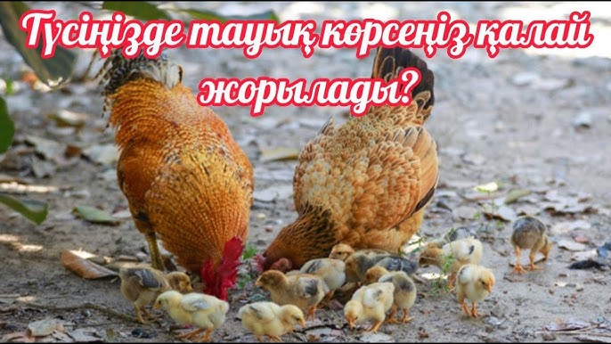 Құдайдың анал порно Жеке нағыз орыс секс және нағыз әйелін ауыстыру