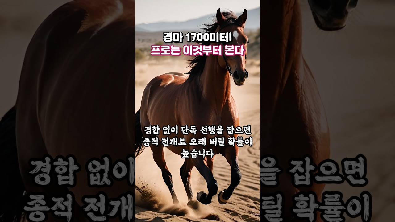 경마 1700미터! 프로는 "이것부터 본다"