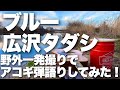 【ブルー / 広沢タダシ】弾き語りカバー@江戸川 / 丸山詩乃