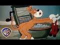 Warner Bros Classic Cartoons كرتون قديم كلاسيكي Warner Bros Classic Cartoons كرتون قديم كلاسيكي