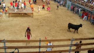 Bous A La Mer Bulls By The Sea Denia 2010 7