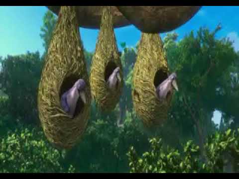 Birds dance in full masti
