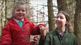 Staff Knowledge and Understanding - Part One | Woodland Learning