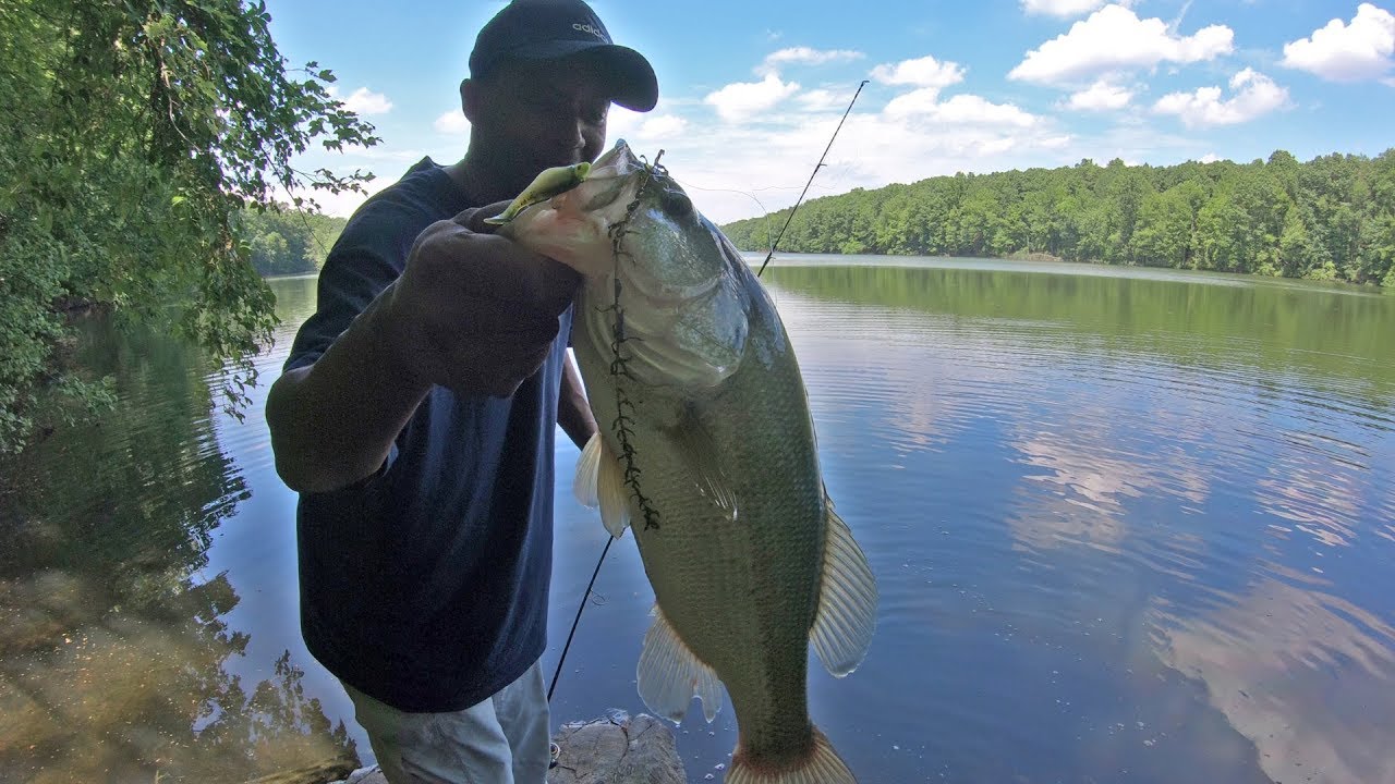 Small grubs catches BIG bass YouTube