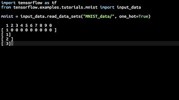 Load The MNIST Data Set in TensorFlow So That It Is In One Hot Encoded Format