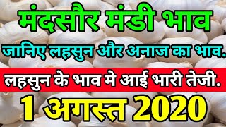 मंदसौर मंडी भाव,1अगस्त।लहसुन, प्याज, धनिया और अनाज के ताजा भाव। today Mandsaur MANDI BHAV screenshot 5