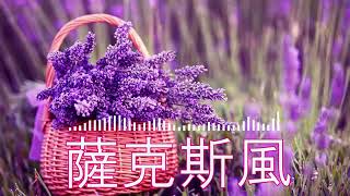 非常好聽👍探戈演奏曲🎶經典懷舊老歌聽出好心情💕早上最適合聽的 探戈老歌 輕音樂 放鬆解壓 Relaxing Chinese Music