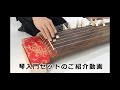 琴セット入門用のご紹介　KOTO　筝 【和楽器市場】