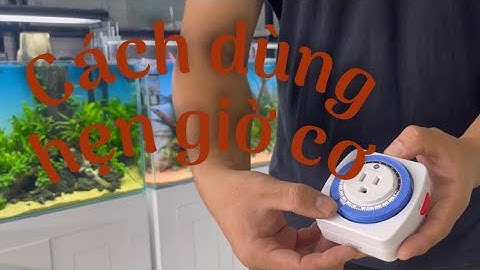 REVIEW - Hẹn Giờ Cơ - Tự Động Bật Tắt Đèn - Hướng Dẫn Sử Dụng