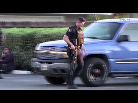 Four dead in