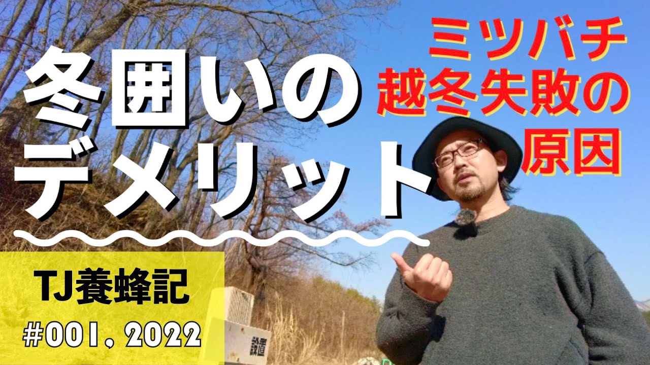ミツバチ越冬のコツと注意点 3月