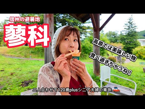 【長野観光】信州蓼科のおすすめ絶品グルメと絶景スポット！