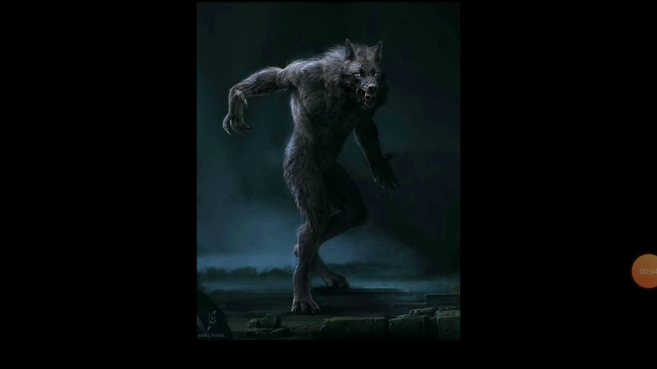 Werewolf : Cryptid Tuesday! 