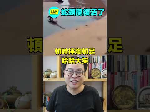 蛇頸龍復活了……|自說自話的總裁