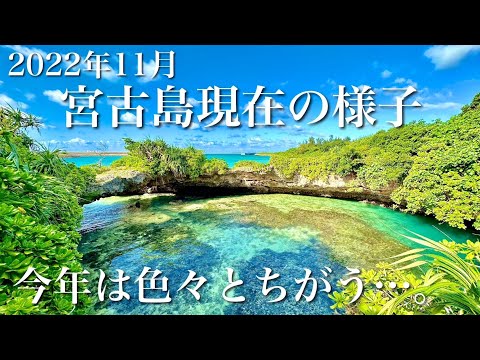 【秋から冬へ】宮古島の現在の様子をお伝えします【2022年11月版】