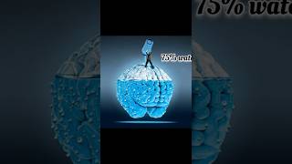 👉top 5 facts for grow on youtube 😳  #facts #trending #viral #shorts #food  #amazingfacts #illusions