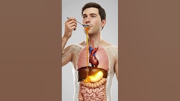 What Happens Inside Your Body When You Eat Honey? (3D Anatomy) #aiart