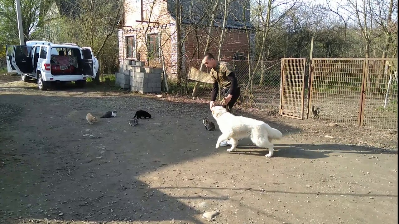 2. Положительное подкрепление и мотивация