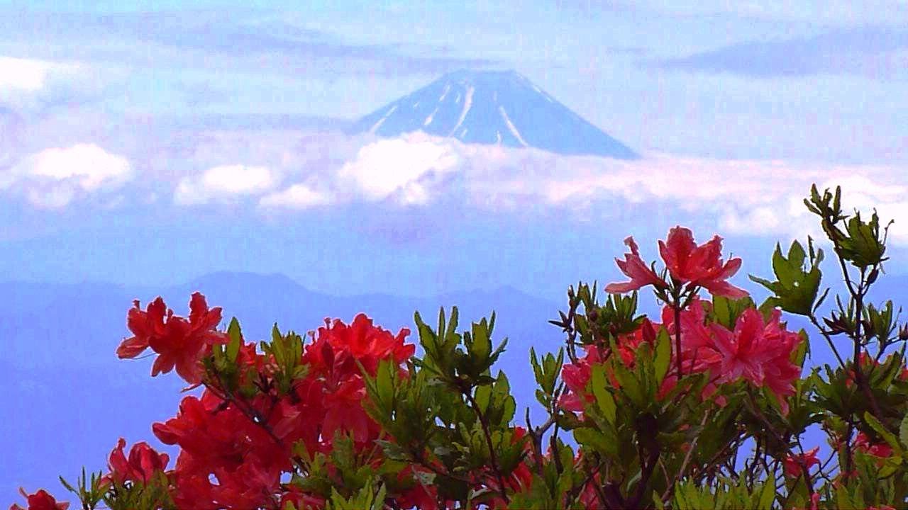 富士山望み15万株レンゲツツジ咲く甘利山 Mt Amari Spoon Azalea Blooming Fuji Wishes Youtube 富士山望み15万株レンゲツツジ咲く甘利山 Mt Amari Spoon Azalea Blooming Fuji Wishes Youtube
