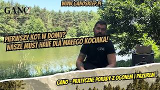 Pierwszy kot w domu? Nasze MUST HAVE dla małego kociaka!