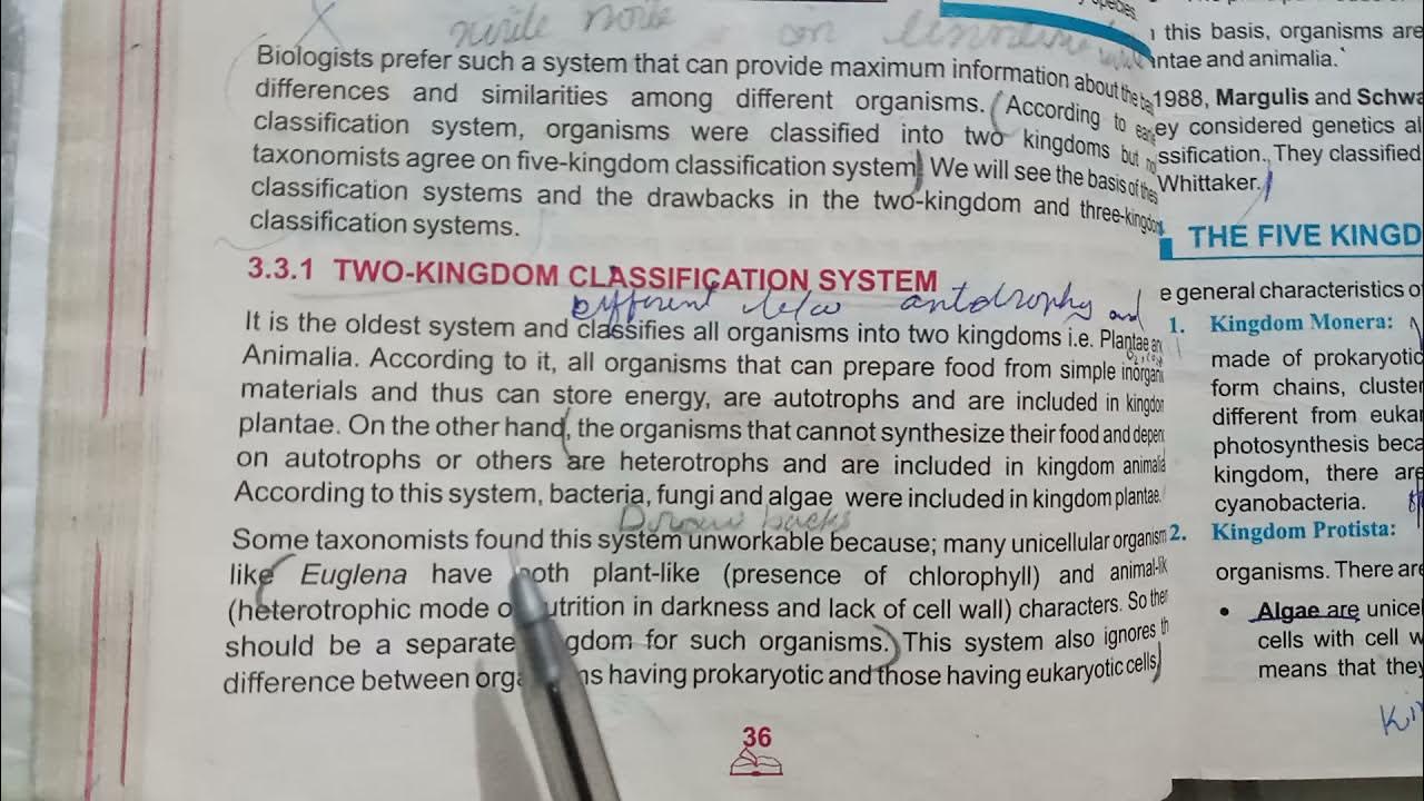  two kingdom classification system youtube