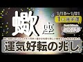 事態が好転しだす兆し☆焼きもちを焼かれてしまうほど魅力や人気アップ♡この時期の不安感には軽い足取りでリラックス♡月末☆豊かさを得て新たな目的がみえる【蠍座♏️】2025年1月後半運勢