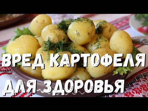 Вред картофеля для здоровья