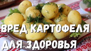 Вред картофеля для здоровья